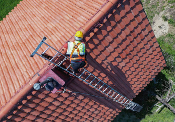 Best Roof Leak Repair  in Pinedale, WY