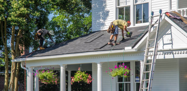 Best Storm Damage Roof Repair  in Pinedale, WY